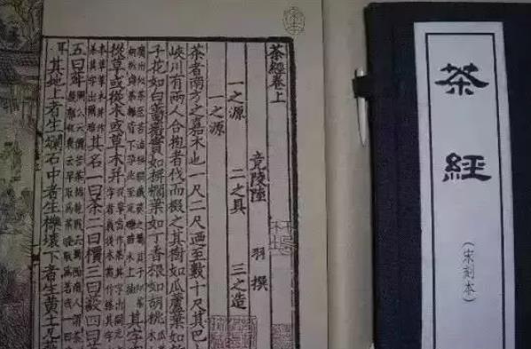 被陆羽推为饮茶贡品的金沙泉