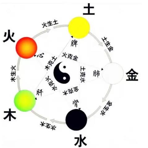 中医是一门艺术