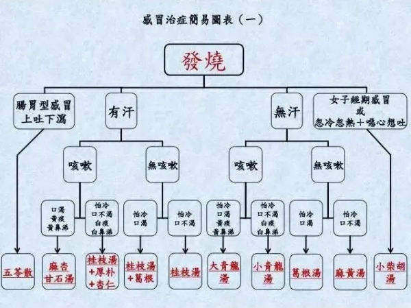 太阳病药简力专的经方