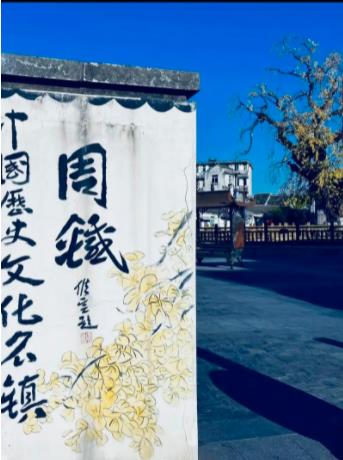 宜兴市持续探索城乡历史文化保护传承方法路径
